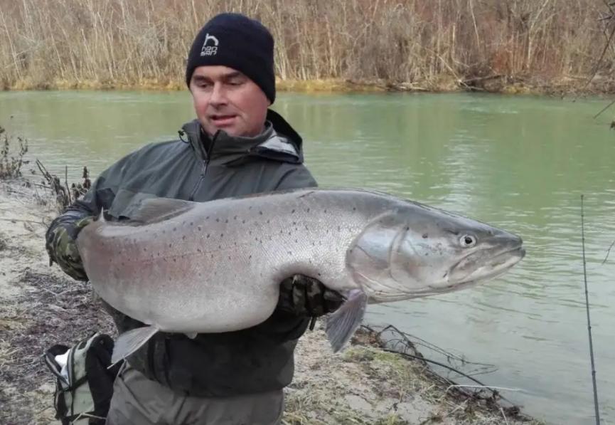 建议不吃这六种鱼有甲醛,三种鱼含甲醛重金属超标切记