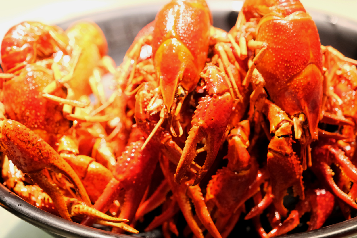 郴州长沙张家界五日游,湖南郴州张家界三日游