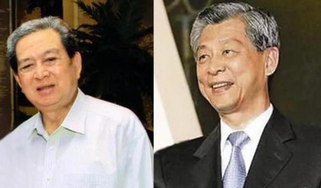 印尼富豪榜排名前十名,印尼十大富豪榜多少人是华裔