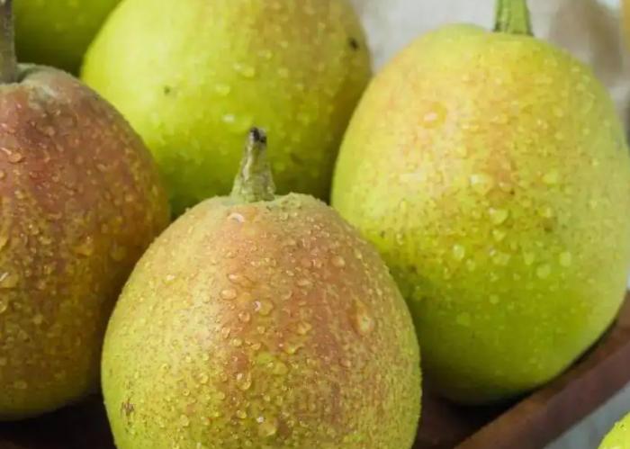 疆南和疆北的特产是什么,新疆特产疆牧格沙棘原浆