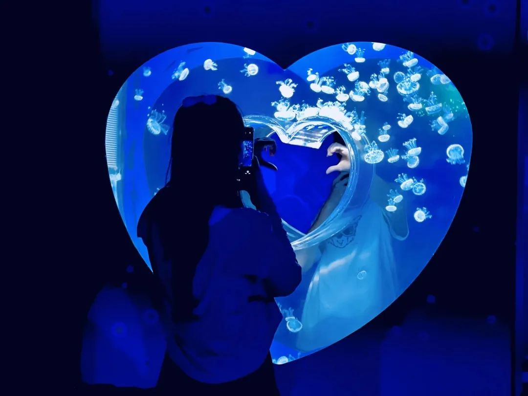 天津遛娃圣地,天津周末免费遛娃好去处