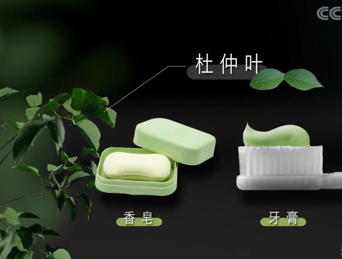 广东老板放弃皮革生意，靠壮阳树年入千万，一张树皮卖上千元