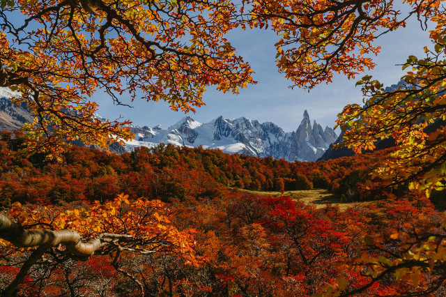 阿根廷南美洲足球,阿根廷南美洲国家