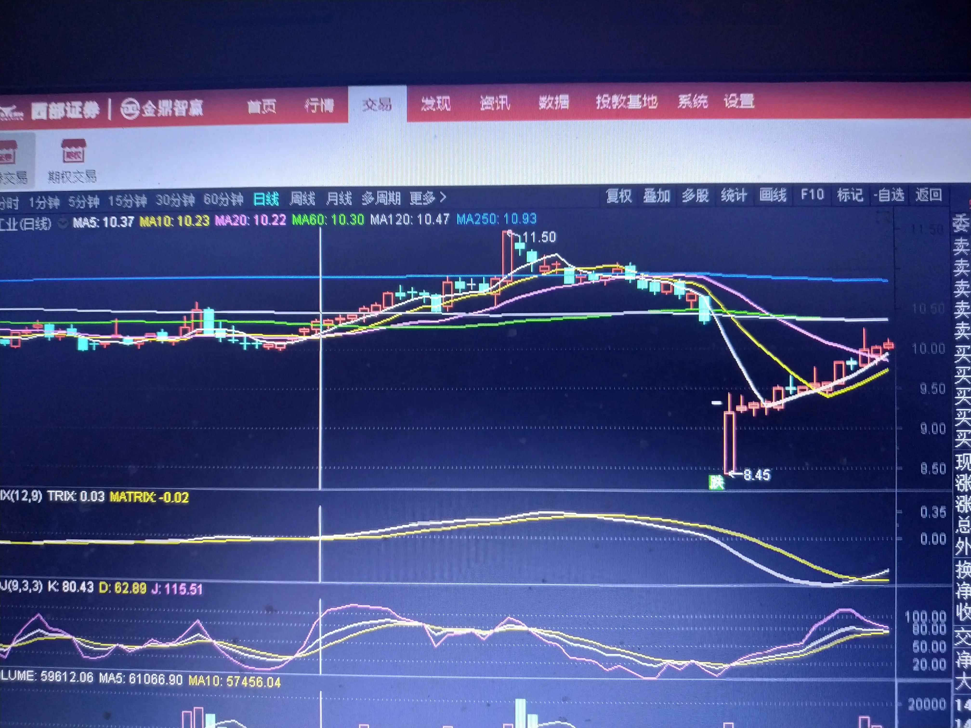 与狼共舞1985,与狼共舞1980