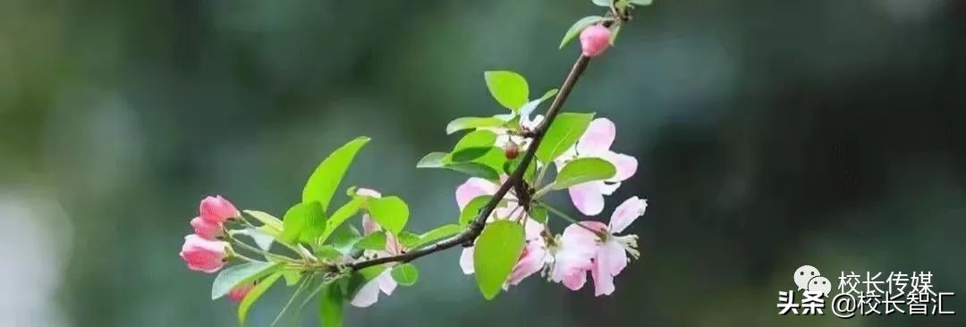 聚焦双减提质增效,双减形势下减负提质增效