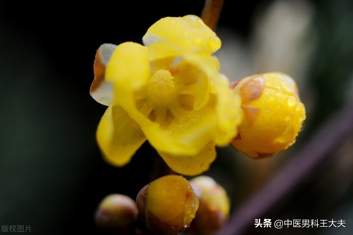 前列腺炎肛门坠胀反复怎么缓解,前列腺炎为什么反复时症状加重