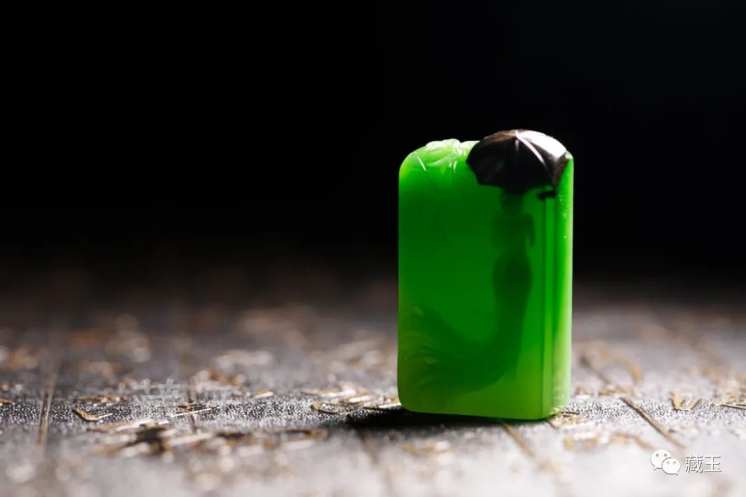 碧玉长疯了怎么办,碧玉为何突然枝叶变黑