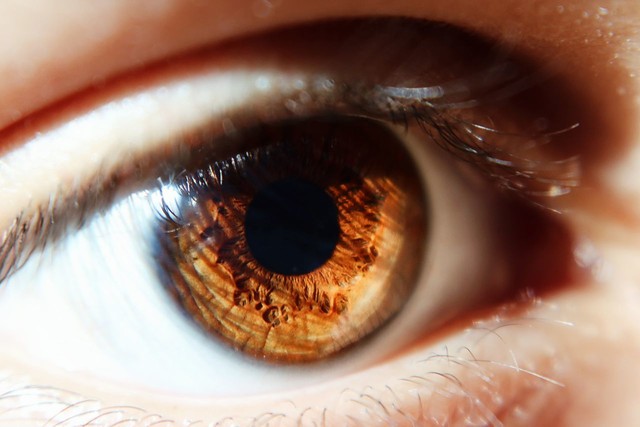 击碎“人类思维”忘记自己是人，才能赚大钱