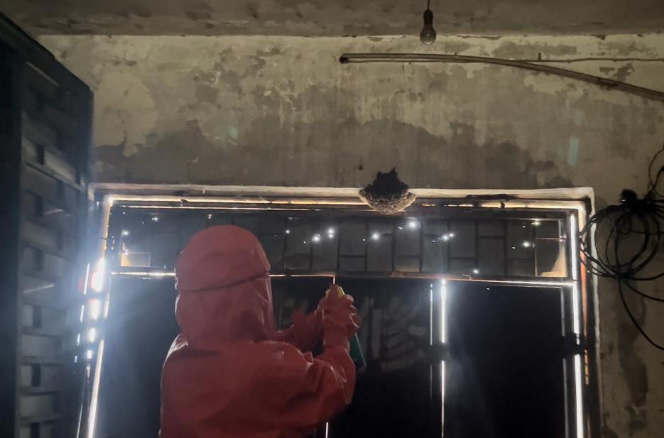 市民家中有马蜂窝求助消防员,消防员一周处置19起马蜂窝扰民