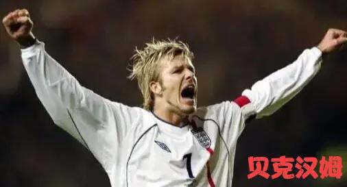 万人迷贝克汉姆故事,万人迷贝克汉姆小七
