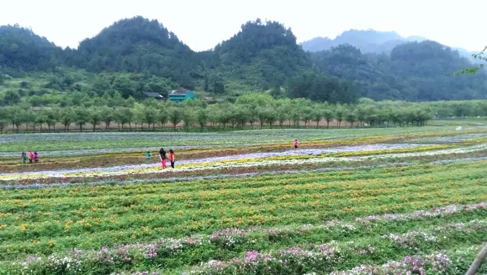 重庆璀璨明珠美景图,重庆涪陵美景