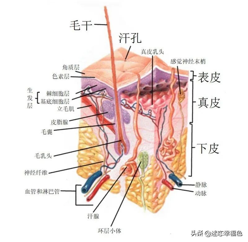 一到冬天就全身瘙痒,一到冬天全身皮肤瘙痒是什么原因
