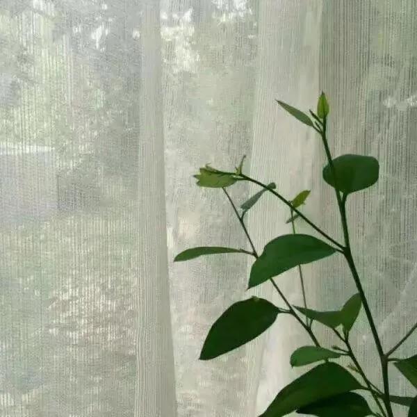 学生如何从生活费里攒钱,学生如何攒钱快学生攒钱方法分享