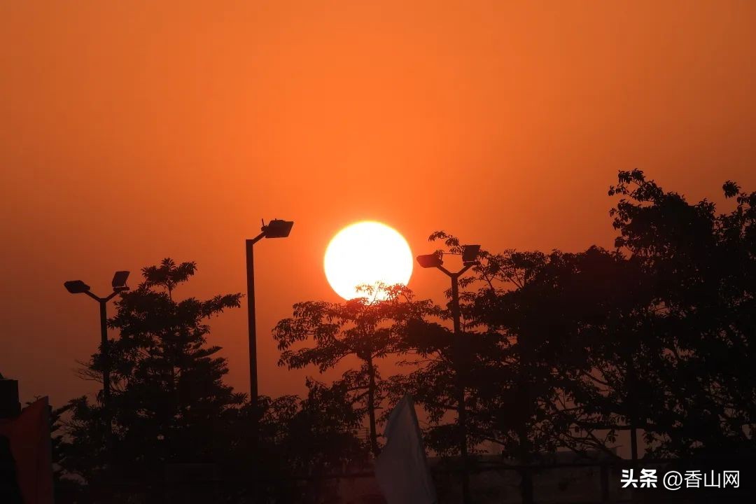 珠海学校排名前十名,珠海好一点的学校