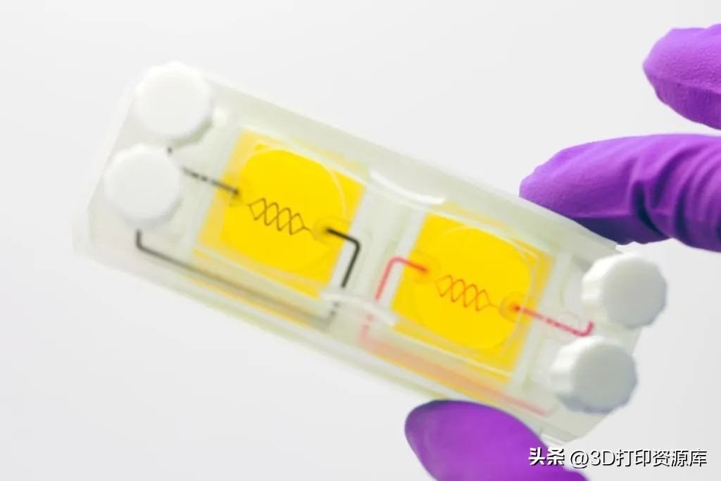 全球最大的3d打印公司排名,2023年比较火的3d打印