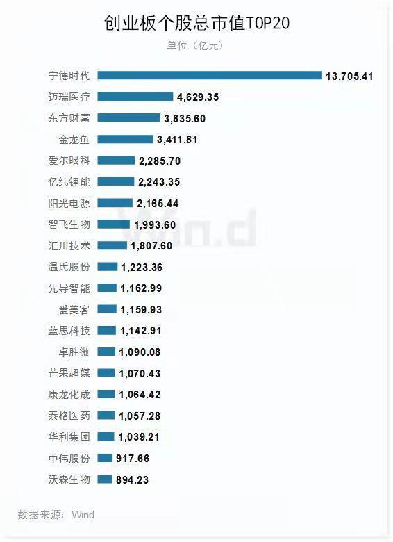 创业板历年权重股,2015创业板涨幅最大股票