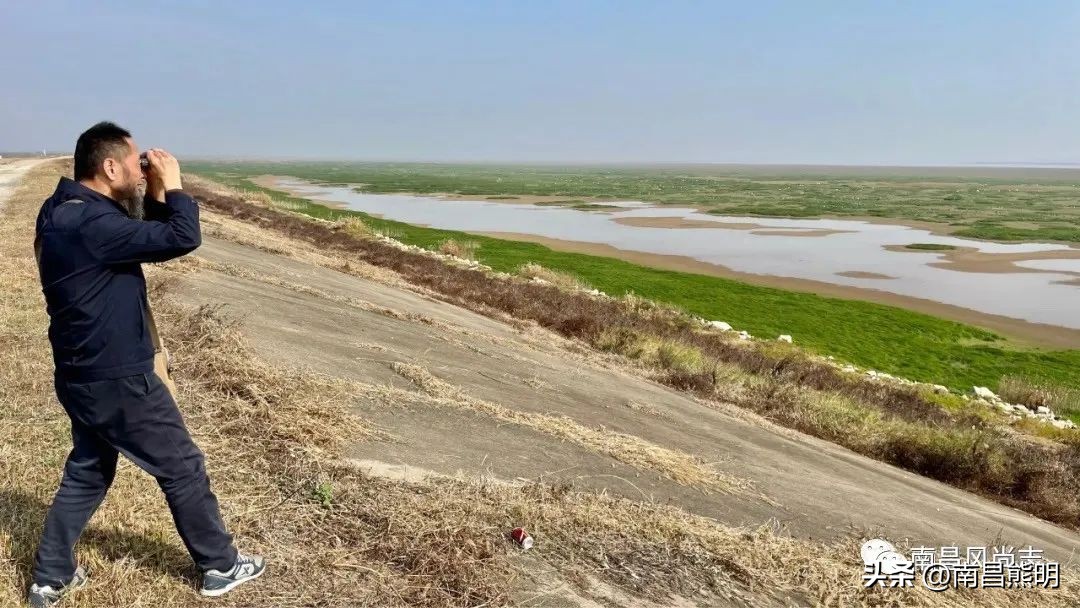 南昌狗颈里传奇：刀光剑影求生藏龙卧虎展神功