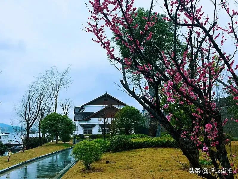 45句极美诗词读后唇齿留香,人间情怀最经典十首诗词大全