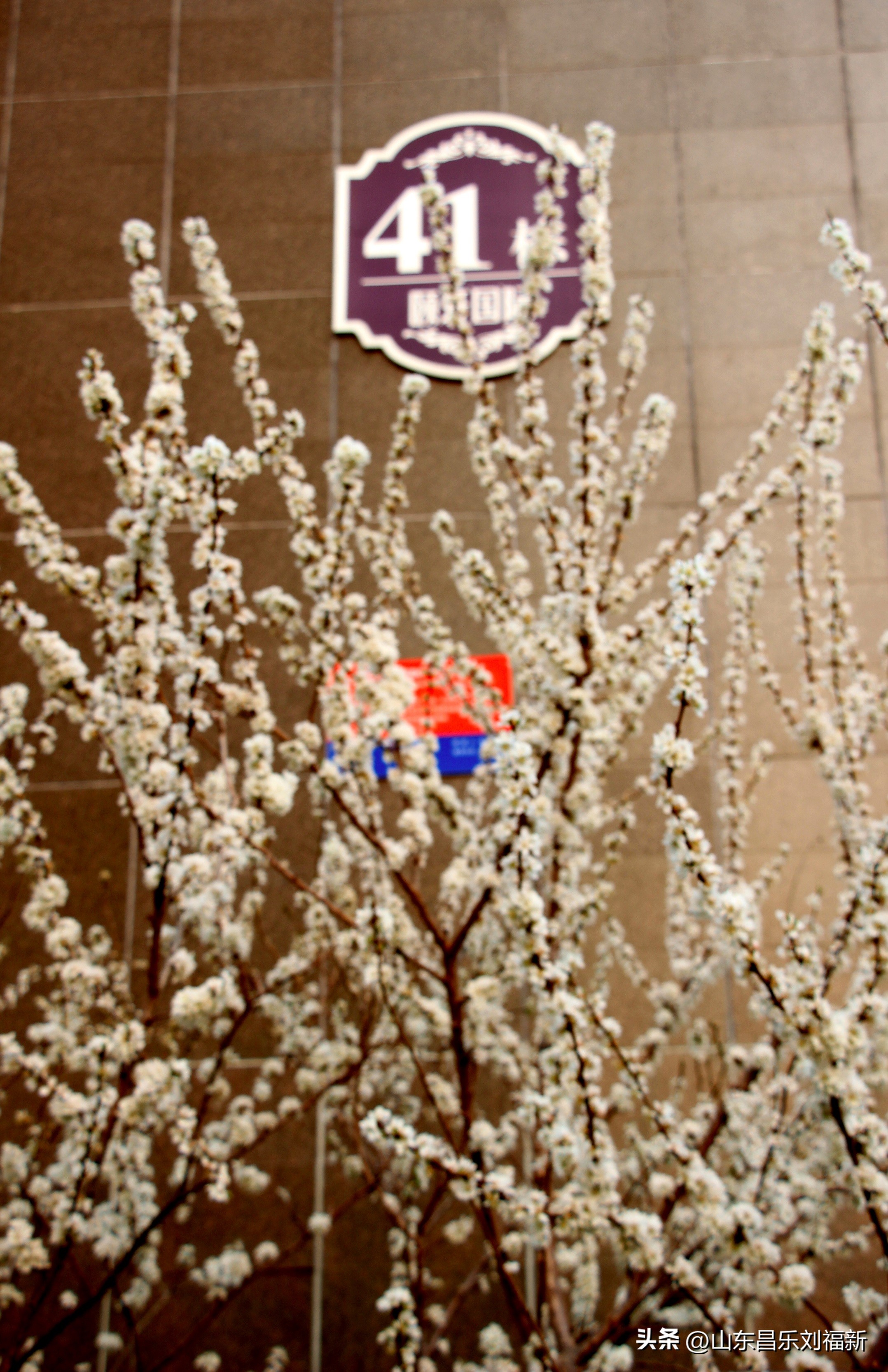 2023年3月中旬散拍·一点儿感受