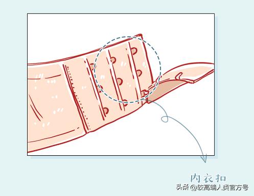 为什么女士内衣扣在后面,内衣扣为什么只有一种