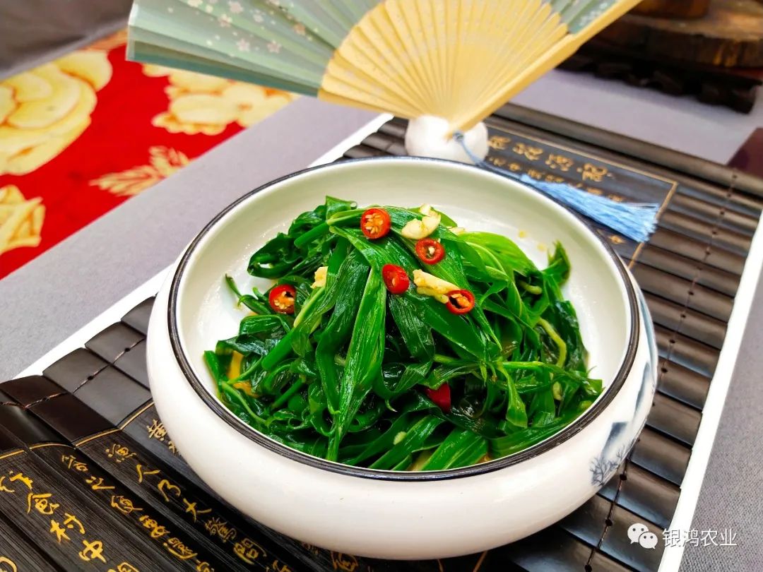 湖南安化黄精新闻,安化黄精优势在哪为何全国认可