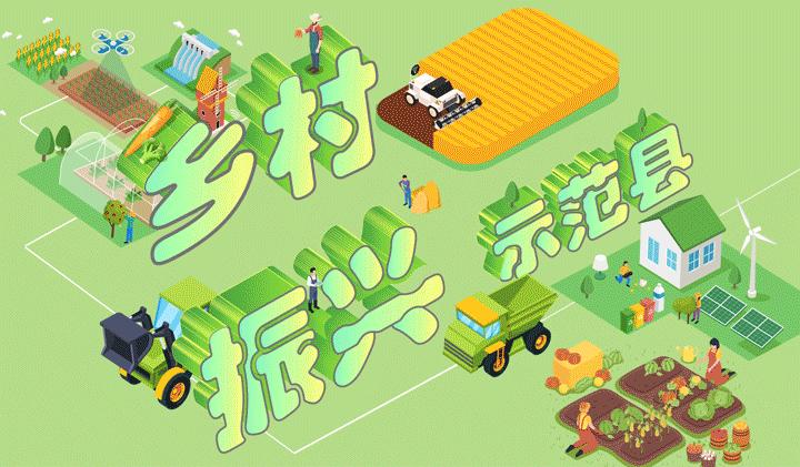 云南普洱茶专项整治,普洱茶专项整治