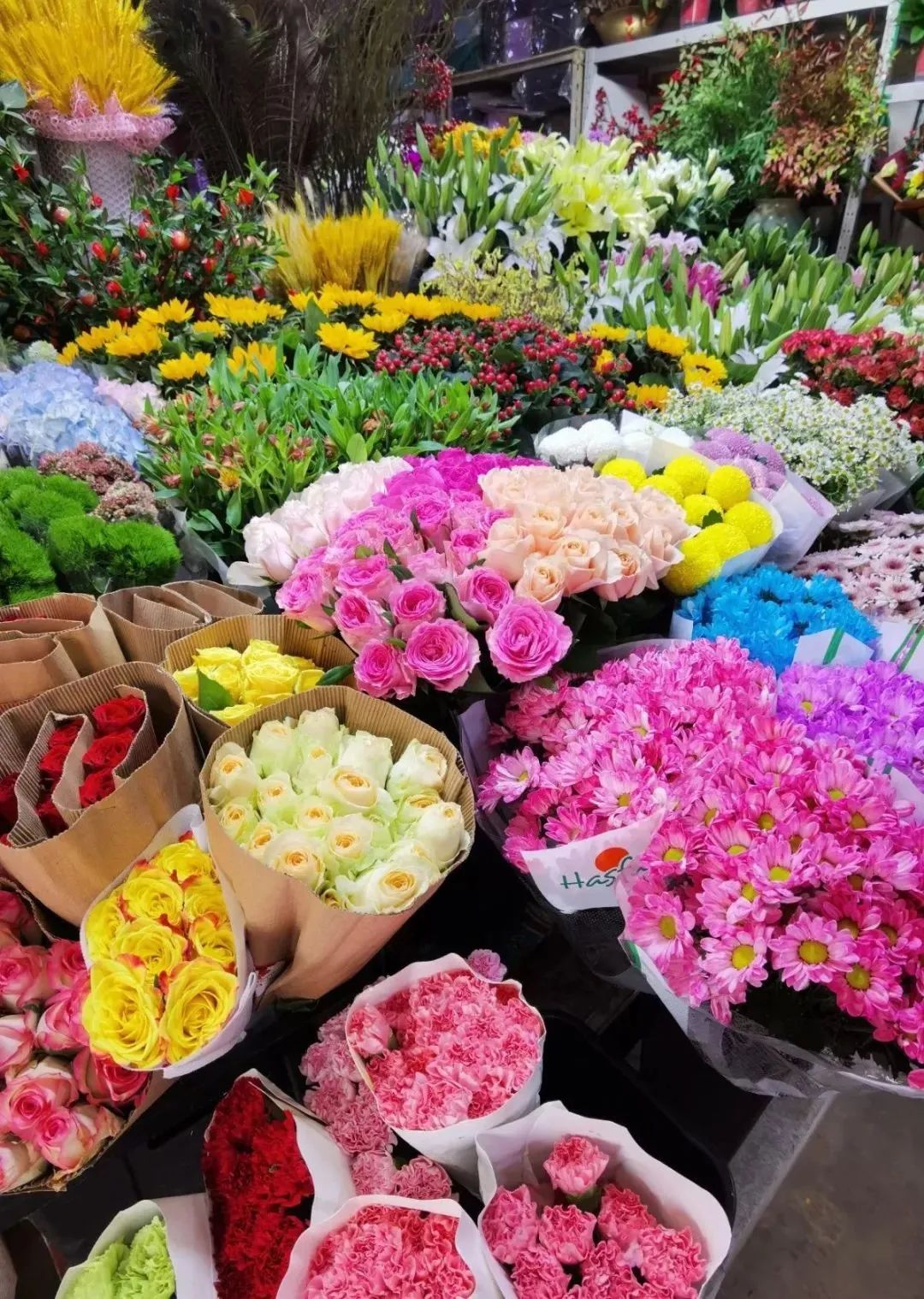 济南花市排名,济南赏花打卡地