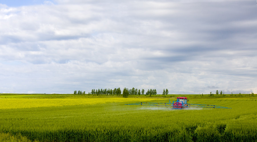 散文|李娟：富裕的肥皂