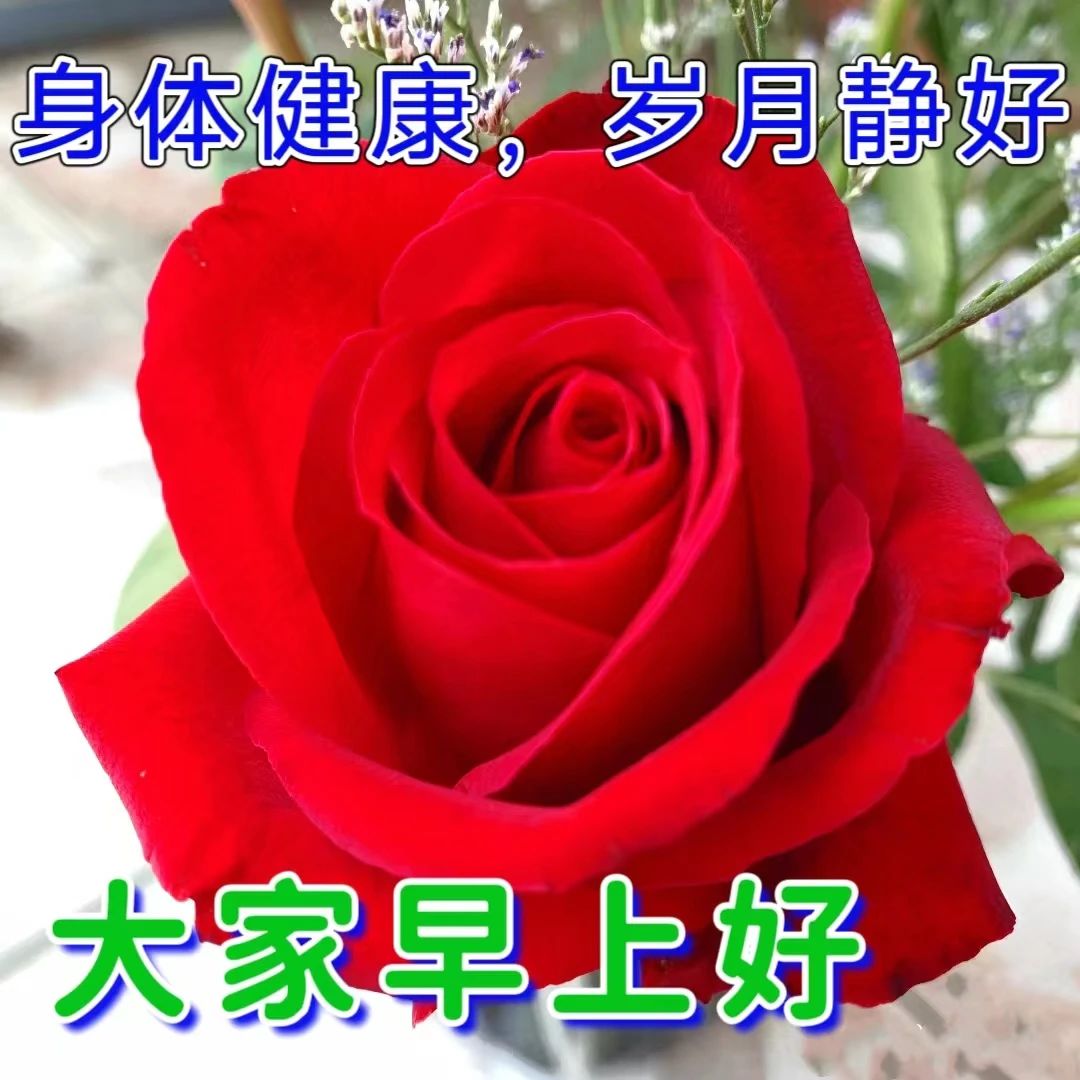 早安问候朋友带字最美图片,4月28日早安问候图片文字