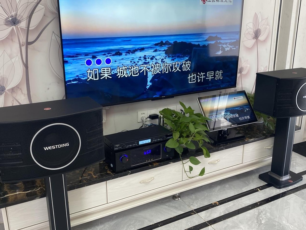 家庭ktv音响套装推荐二手,买二手的ktv音响多少钱一套