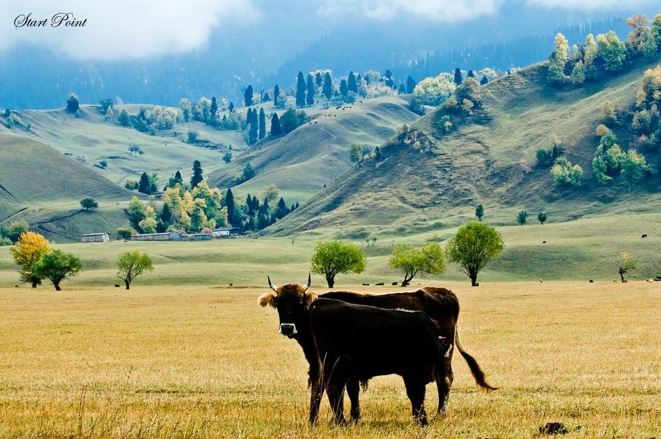 西部自驾游十大经典线路,中国西部自驾精品十条线路