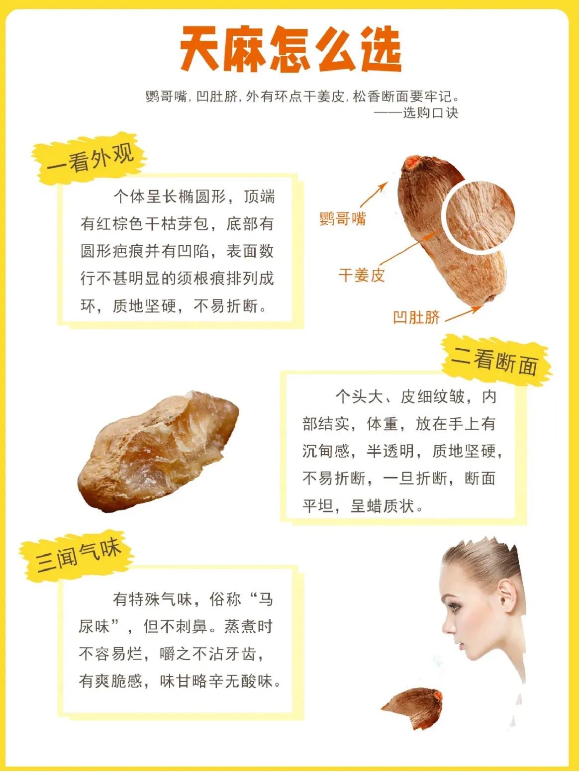 科普天麻知识大全完整版,冬季天麻怎么吃