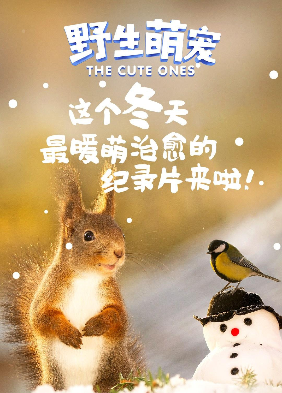 纪录片儿童必看的十部关于动物,值得看的动物纪录片