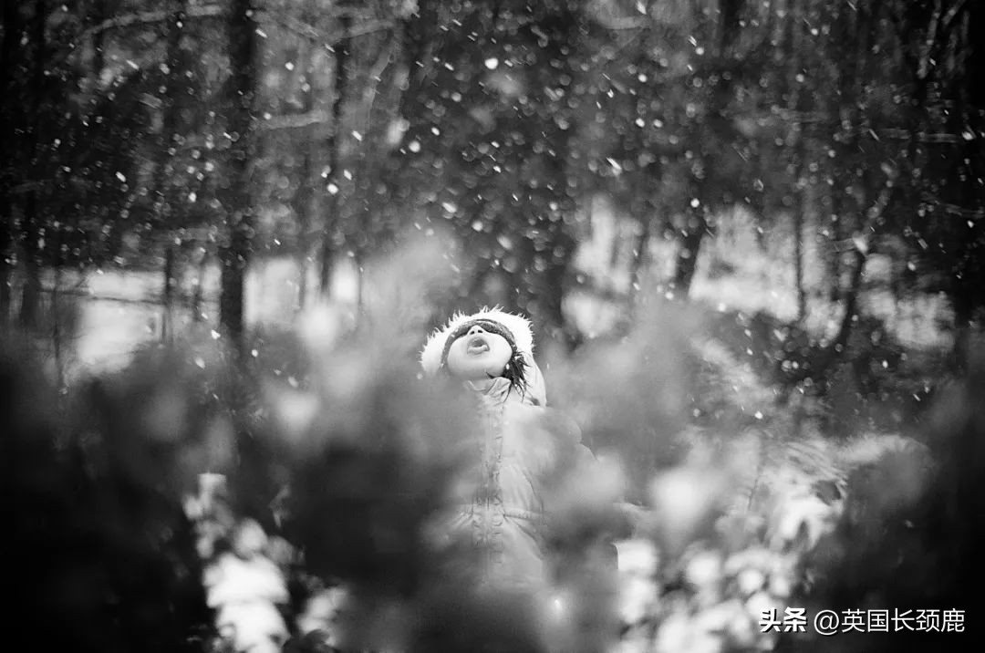 拍落日的胶片相机推荐,胶片机拍风景注意哪些问题