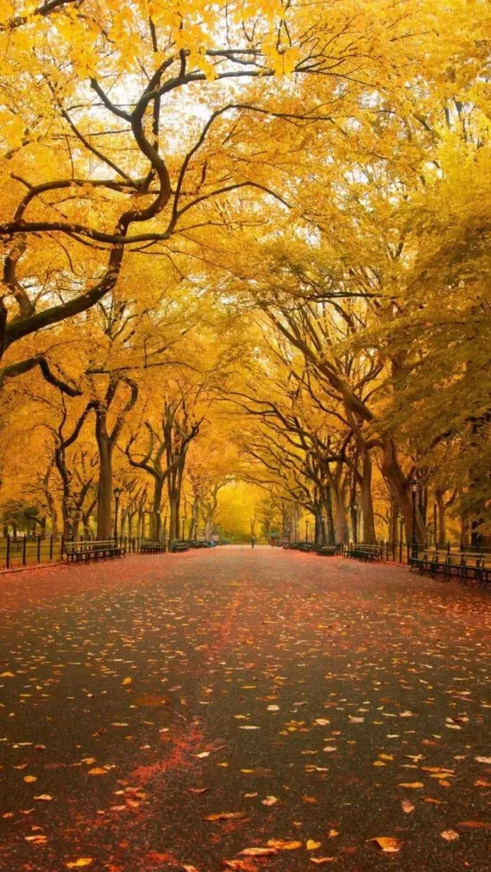 买衣服可以退吗实体店,买衣服实体店好还是网店好