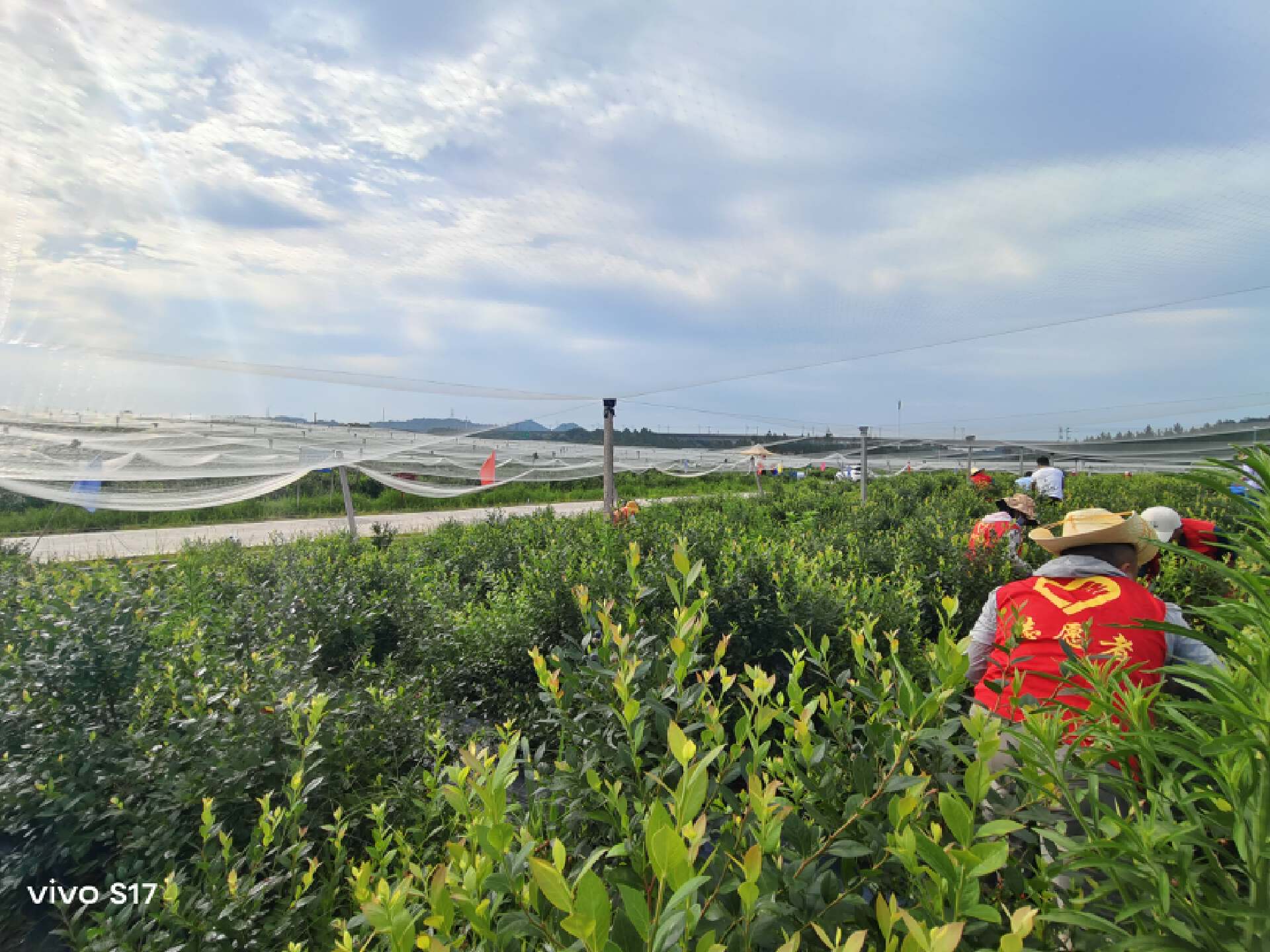 vivos17功能详细介绍,vivoS17系列正式发布