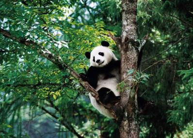 最省钱的城市,最省钱的地方