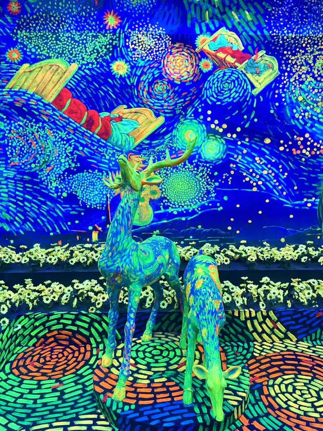 青岛新展！很多小姐姐都去拍照了