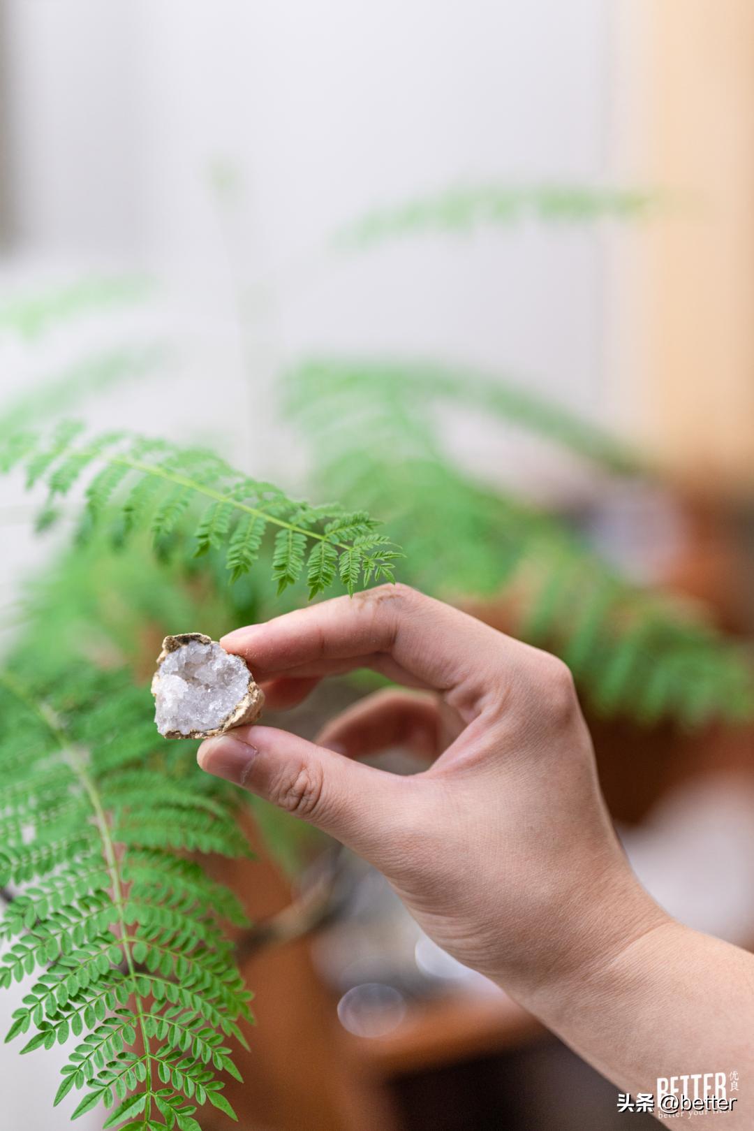 我在这家化石手作店，体验了一把「赌石」的快乐