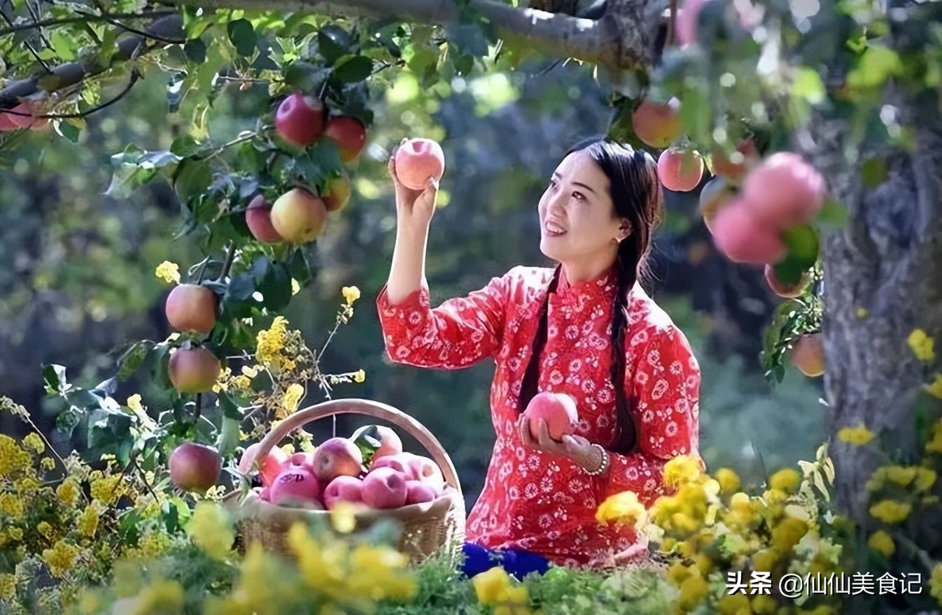 洛川苹果和阿克苏苹果哪个更好吃,中国哪里的苹果最好吃又甜又脆