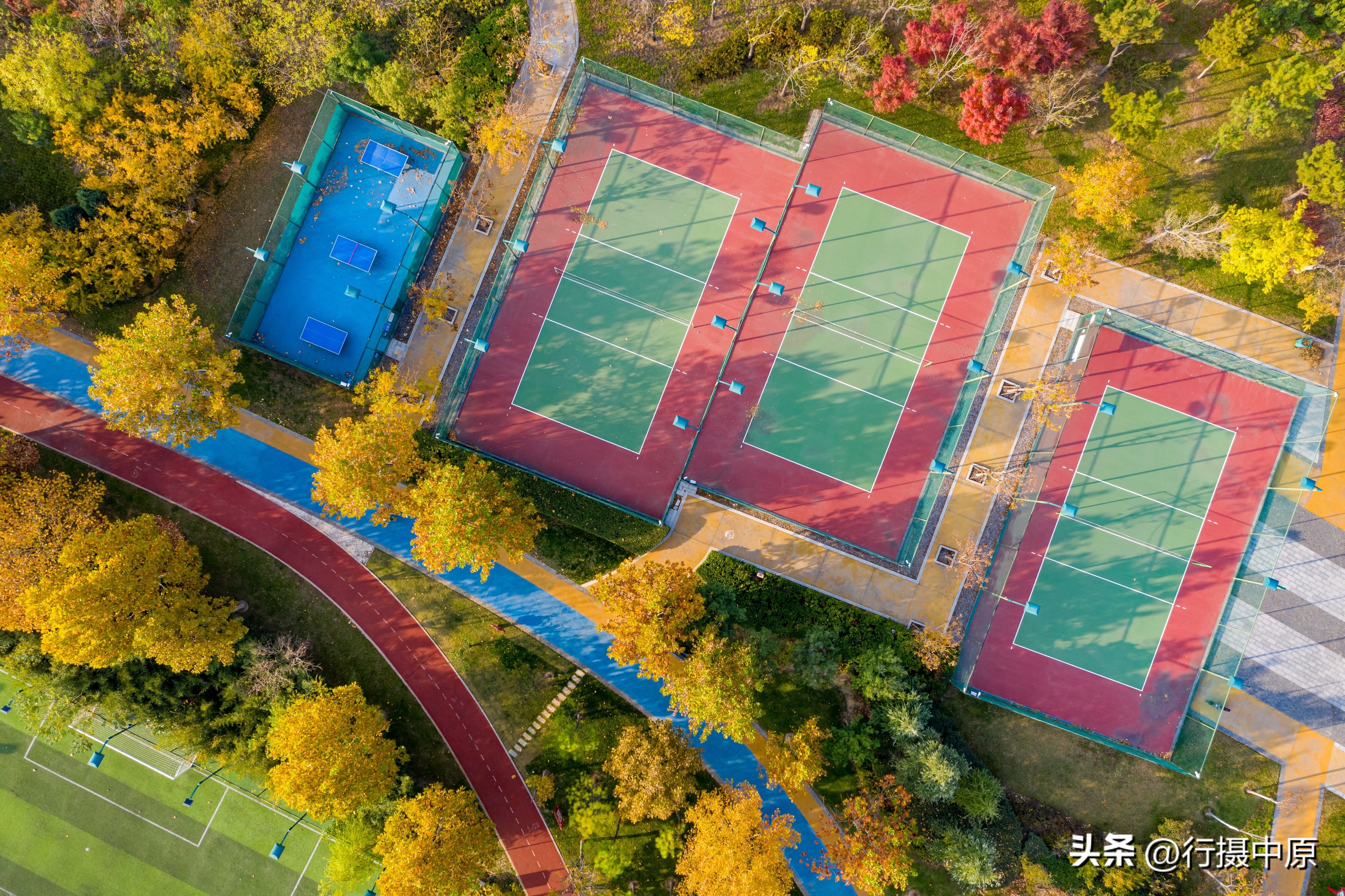 郑州这片“藏”在五彩植被之间的球场,“运动迷”值得打卡