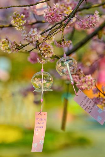 心怀感恩所遇皆美好散文,万事可期万物可亲