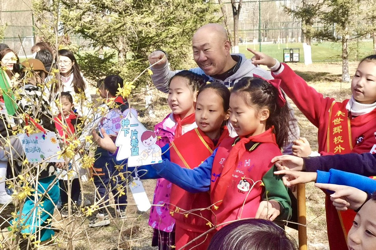 开展植树活动,植树节村组织植树活动