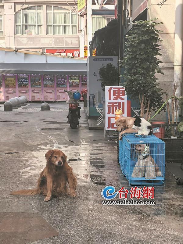 厦门小孩疫苗接种预约,厦门宝宝接种疫苗