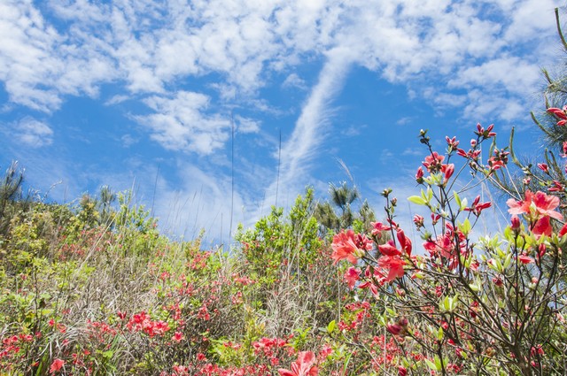 让你越来越有气质的10个好习惯,让自己更有气质的10件小事
