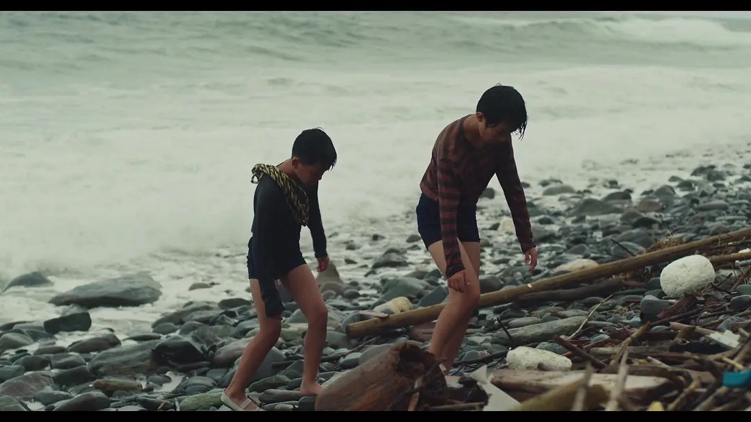 一部值得一看的经典影视作品,盘点几部值得期待的影视作品