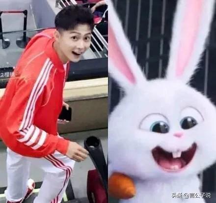 长着兔子脸的男明星有哪些,长得像兔子牙的男明星
