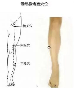 十二经络足阳明胃经穴位走向,胃部经络最易堵塞三个穴位