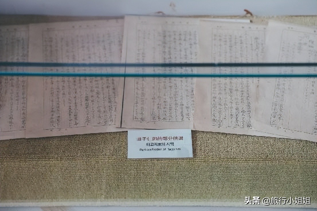 夏日海边微醺氛围感,滨城风光秀丽浪漫气息爆表