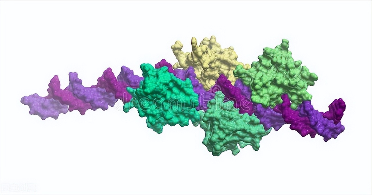 中国防老剂产能分布,增塑剂出口